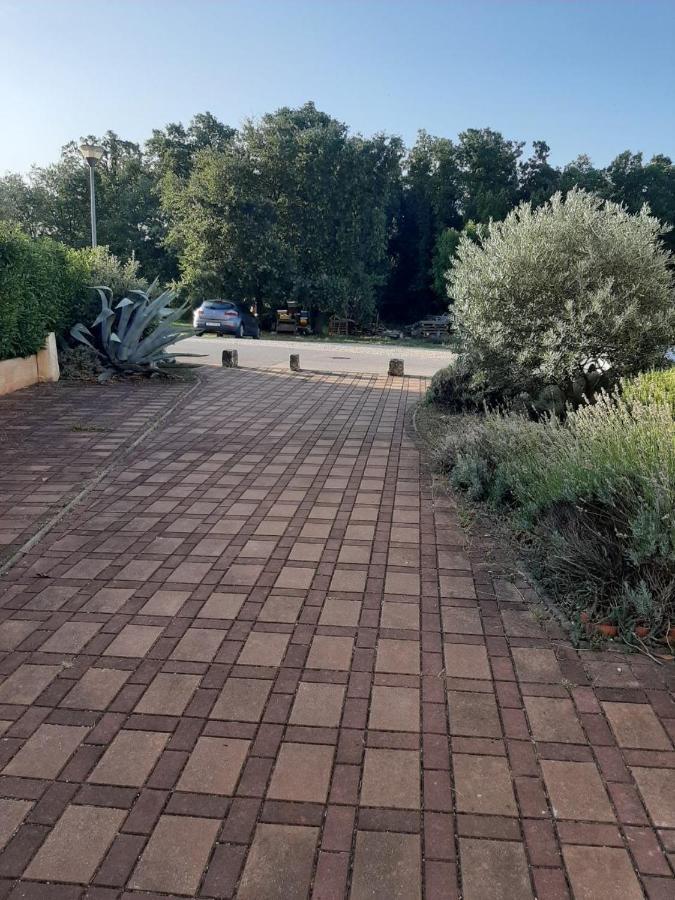 Medo Novigrad (Istria) Exterior foto